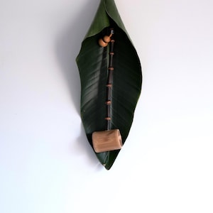 May include: A long-handled bamboo ladle featuring a dark brown, segmented bamboo handle and a light tan, cylindrical bamboo bowl. The ladle is positioned vertically against a large, dark green, pointed leaf with visible veins.