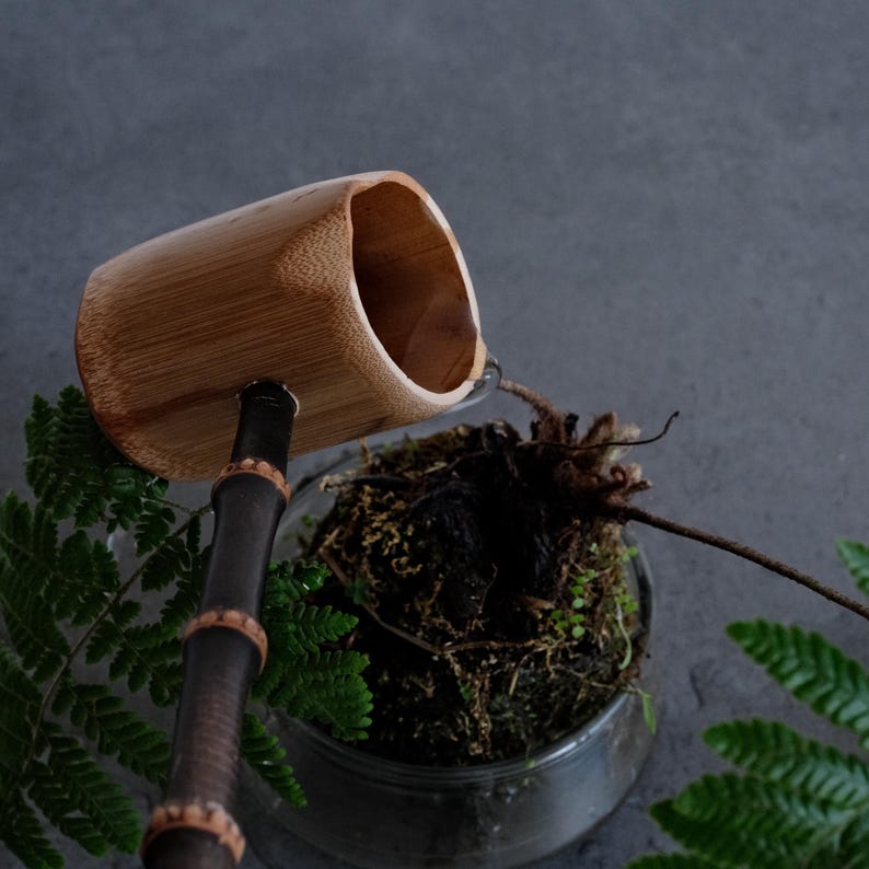May include: A bamboo water ladle with a light brown cylindrical cup and a dark brown bamboo handle, positioned to pour water over a dark soil-filled glass container containing a plant with green fern leaves and exposed roots.
