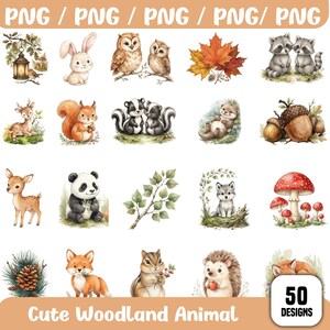 May include: A digital collection of 50 woodland animal and nature illustrations including a rabbit, owls, raccoons, a deer, a squirrel, skunks, an otter, acorns, a panda, a wolf, mushrooms, a pinecone, a fox, a hedgehog, and foliage.