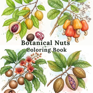 30 Botanical Nuts Coloring Book Printable PDF, Nut Tree Coloring Pages for Adults, Instant Download, Botanical Line Art