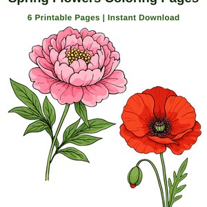 May include: A digital illustration of spring flowers coloring pages. The image features a pink peony and a red poppy with green leaves and stems. Text at the top reads "Spring Flowers Coloring Pages" and "6 Printable Pages | Instant Download."