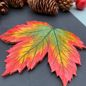 Könnte beinhalten: Ein dekoratives Ahornblatt-Ornament mit einem Farbverlauf in leuchtendem Rot, Orange und Gelb sowie dunkelgrünen Blattadern. Die Oberfläche weist eine texturierte, rissige Optik auf und das Blatt ist mit gezackten Rändern geformt, die einem echten Herbstblatt ähneln.