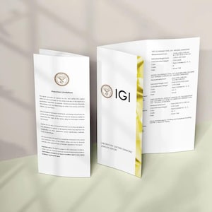 Op de afbeelding: Twee witte IGI-rapporten voor in het laboratorium gekweekte diamanten met zwarte tekst, het IGI-logo en gedetailleerde diamantspecificaties, inclusief afmetingen in millimeters en karaatgewichten voor meerdere stenen.