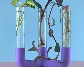 Modern Plant Propagation Station | 3-6 Glass Tubes, Plant Cuttings, Flower Vase