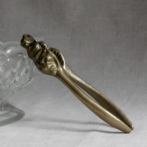 Peut inclure: Un casse-noix en laiton vintage avec un motif détaillé de tête de lion. Le casse-noix est de couleur or antique chaud et comporte un mécanisme à levier. Le design est orné et classique, suggérant une attention à la fonctionnalité et à l'esthétique.
