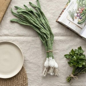 May include: A handmade crochet bunch of green onions featuring long, textured green stalks and white bulbous roots with frayed ends, tied together with a thin brown string. The vegetable replica is crafted with visible yarn stitches.