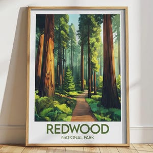 May include: A framed print showing an illustration of Redwood National Park. The artwork depicts a wooden pathway through a forest of tall redwood trees, with green foliage and sunlight filtering through the canopy. The text "REDWOOD NATIONAL PARK" is displayed at the bottom.