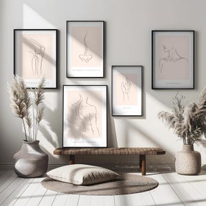 Könnte beinhalten: Fünf gerahmte Kunstdrucke mit schwarzen Rahmen, die minimalistische Strichzeichnungen der menschlichen Anatomie auf hellpfirsichfarbenem Hintergrund zeigen. Die Drucke zeigen ein Knie, eine Wirbelsäule, einen Hals, eine Hand und einen Rücken.