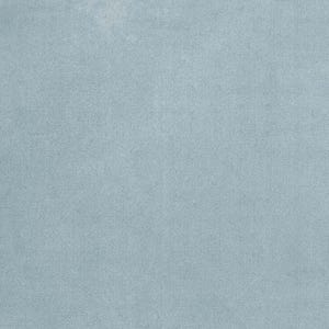 May include: A solid, light blue fabric with a subtle texture. The material has a soft, velvety appearance, and the color is a muted, pastel shade of blue. The fabric appears to be a single piece, suitable for upholstery or apparel.