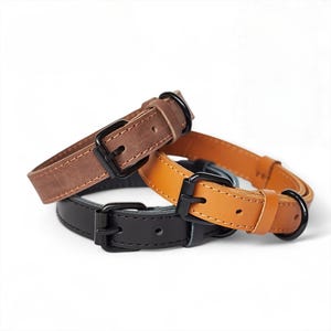 May include: Three leather dog collars in brown, tan, and black, each with a black metal buckle and D-ring. The collars are stacked, showcasing the different colors and textures of the leather. The collars are designed for pets.