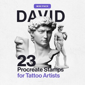 23 David Procreate Stempel, Tattoo-Referenzpaket, Mikrorealismus-Pinselset, Tattoo-Design-Werkzeuge