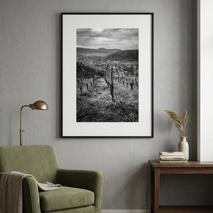 May include: Monochrome framed print depicting a vineyard scene. The photograph shows rows of grapevines stretching towards a town in the distance, set against a backdrop of hills. The image is presented in a black frame, enhancing the visual appeal.