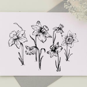 May include: A black and white line drawing of several daffodils on a white card. The flowers are in various stages of bloom, with detailed petals and stems. The card is on a light gray surface.