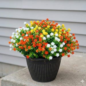 May include: A black, ribbed plastic flower pot filled with a vibrant mix of colorful flowers. The flowers are a combination of white, orange, yellow, and green. The pot is sitting on a concrete surface.