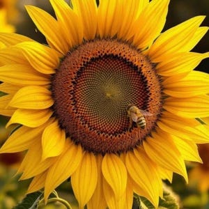 May include: A white ceramic mug with a black handle and the text "But First, Coffee" in a black, handwritten-style font. The mug is on a white surface.