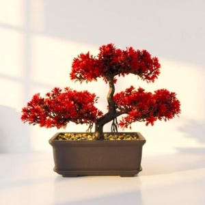 May include: A miniature bonsai tree with vibrant red foliage. The tree is planted in a rectangular brown pot filled with small pebbles. The trunk is dark brown and the leaves are a bright, eye-catching red. The bonsai is a decorative item.