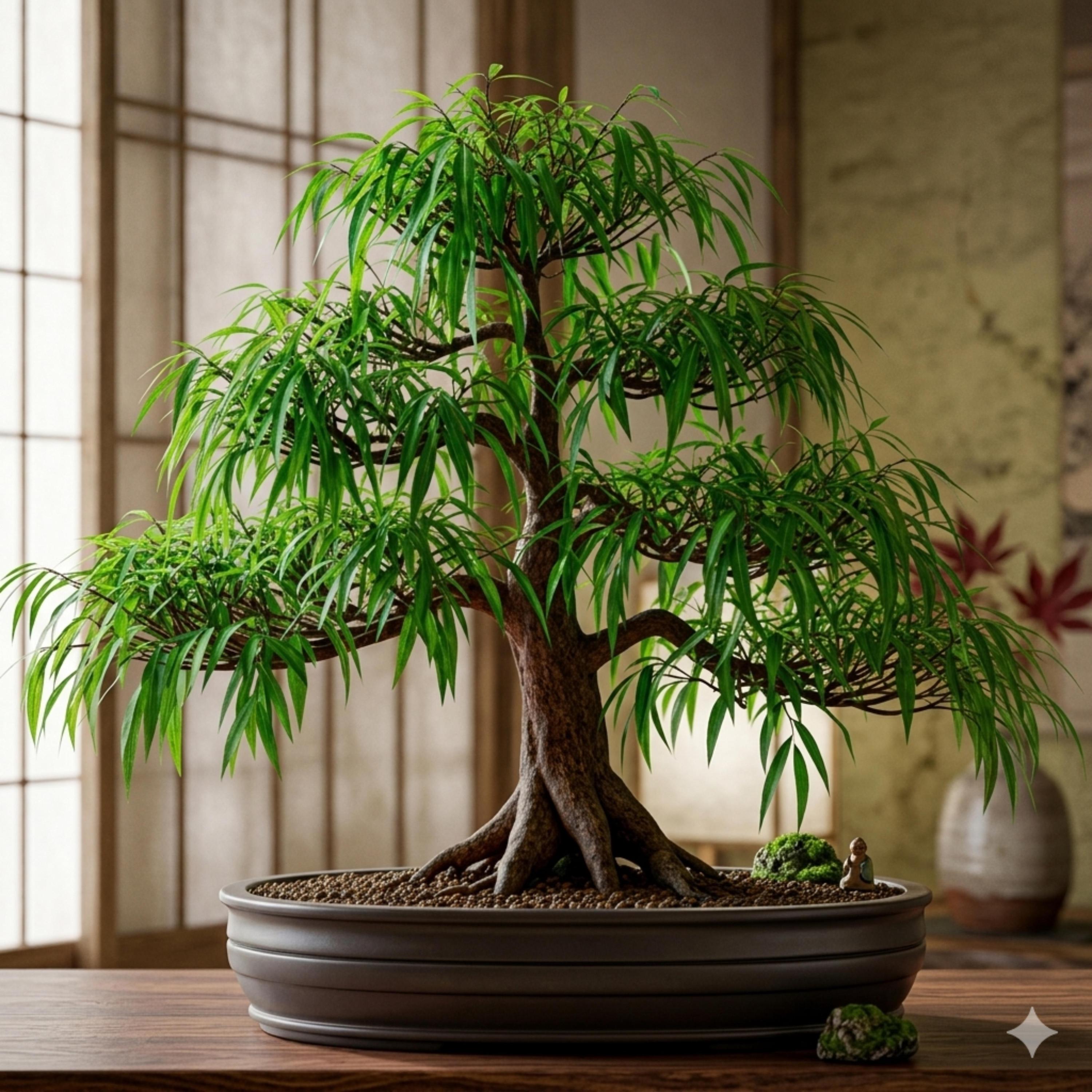 盆栽 - Etsy 日本