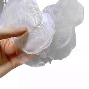May include: A hand holds several translucent, iridescent, shell-shaped pieces. The pieces have a delicate, layered texture and a pearlescent sheen, reflecting light with a subtle rainbow effect. The overall appearance is delicate and natural.