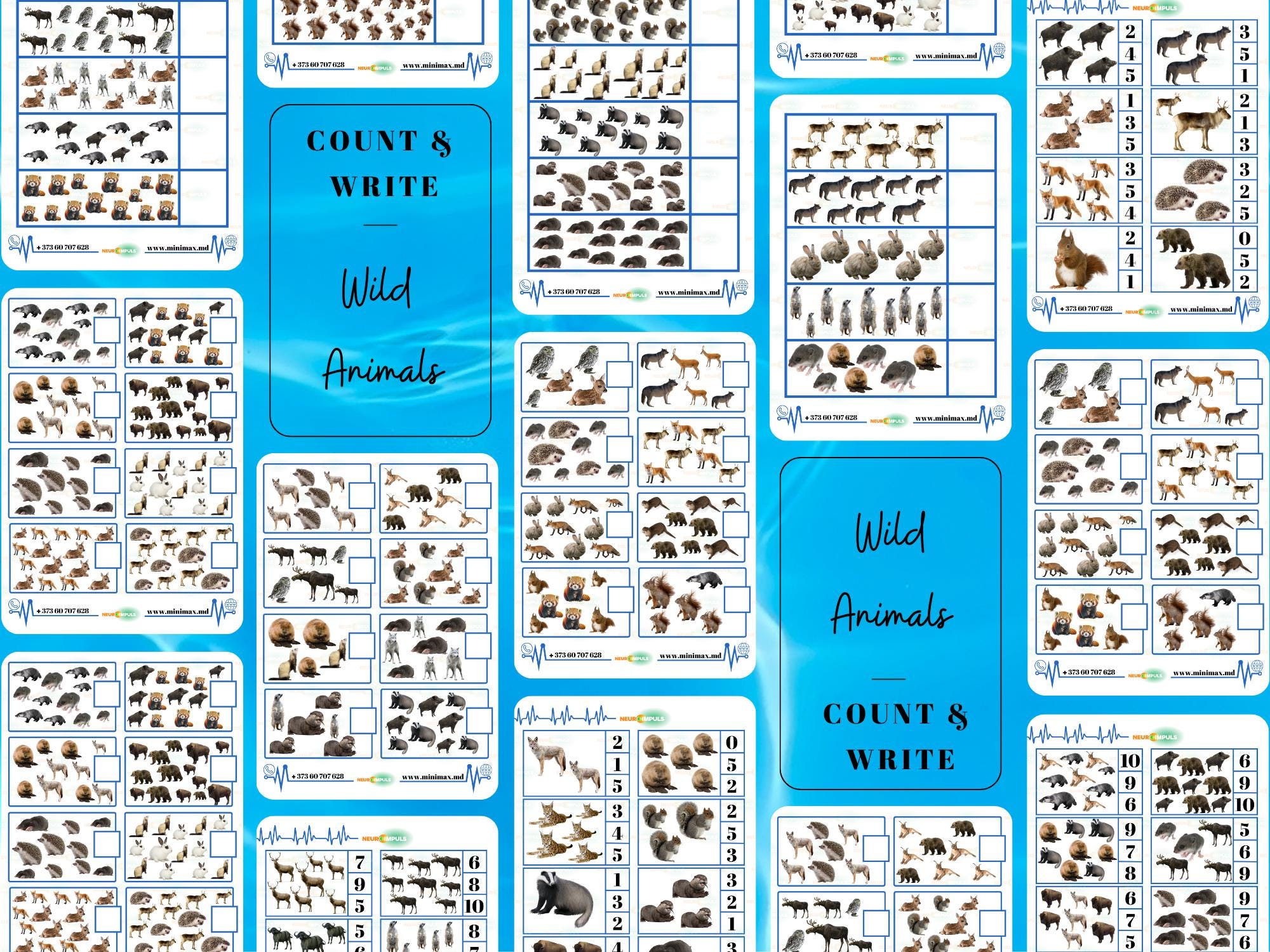 Forest Animals Math - Count, Circle & Write 1-20 - Etsy