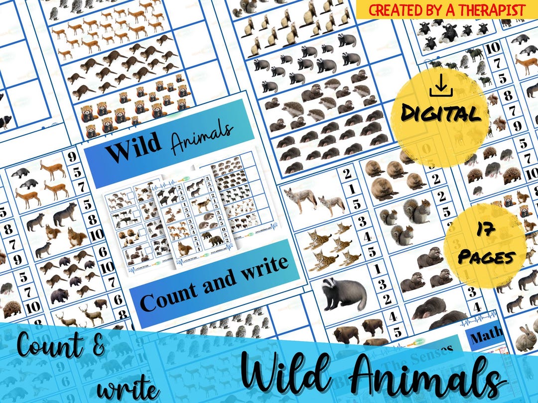 Forest Animals Math - Count, Circle & Write 1-20 - Etsy