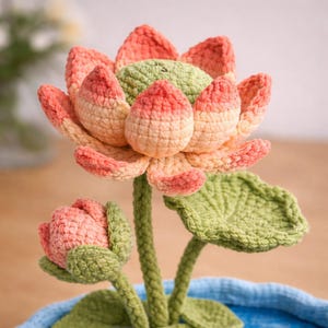 Puede incluir: Una flor de loto de ganchillo hecha a mano en tonos melocot&oacute;n, rosa y verde. La flor grande est&aacute; completamente florecida, con un capullo m&aacute;s peque&ntilde;o cerca. Las hojas y los tallos son verdes, y la flor est&aacute; en una maceta azul. El ganchillo es detallado.