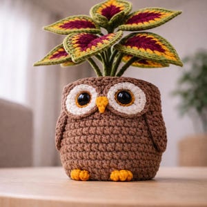May include: A handcrafted crochet owl planter in shades of brown, with large, expressive eyes and small orange feet. The owl holds a plant with green, yellow, and burgundy leaves, creating a whimsical decorative piece for home decor.