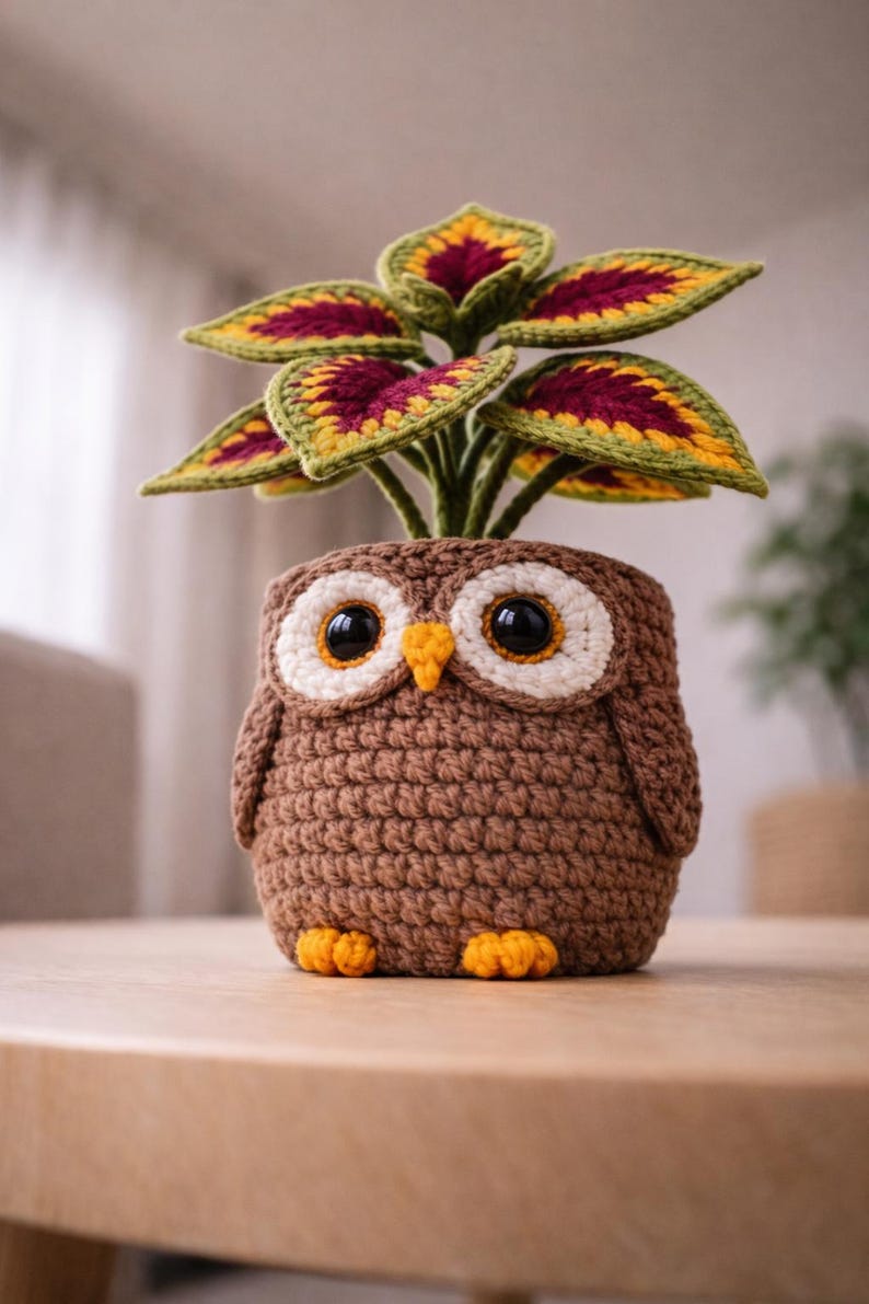 May include: A handcrafted crochet owl planter in shades of brown, with large, expressive eyes and small orange feet. The owl holds a plant with green, yellow, and burgundy leaves, creating a whimsical decorative piece for home decor.