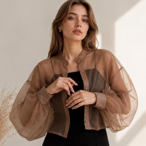 May include: A sheer brown button-down blouse with voluminous long sleeves and a mandarin collar, worn over a solid black sleeveless dress. The blouse features a lightweight, translucent fabric with gathered cuffs and a front button closure.