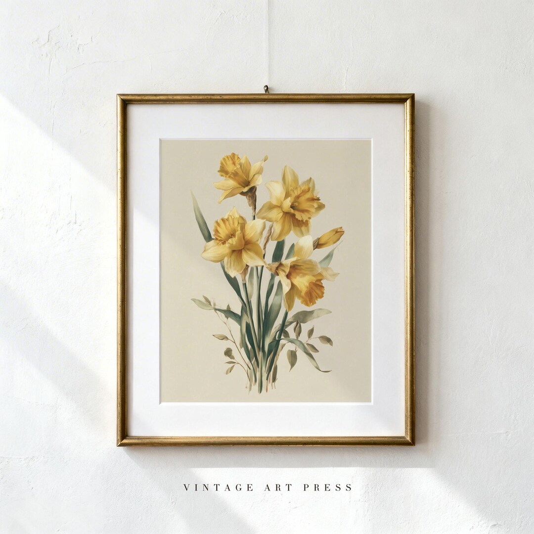 Vintage Yellow Daffodil Wall Art Print, Antique Botanical Flower ...