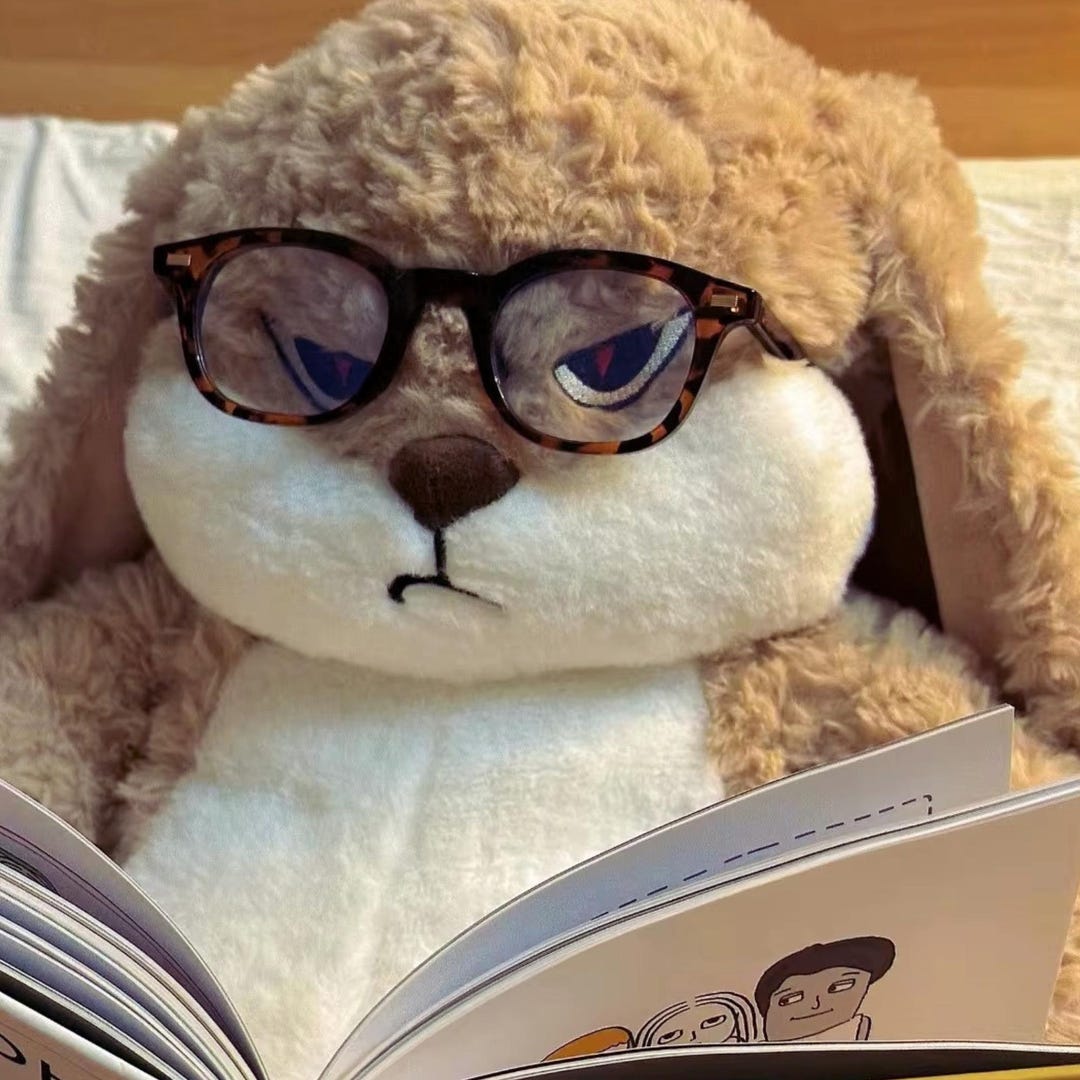 Cute Bunny Plush Toy, Kawaii Rabbit Plushie, Large Soft Stuffed Animal ...