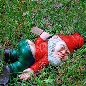 Peut inclure: Une statue de gnome de jardin fantaisiste, allongée dans l'herbe. Le gnome porte une veste et un chapeau rouges, un pantalon vert et une barbe blanche. Une bouteille marron repose près de sa main, suggérant un thème humoristique et détendu.