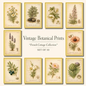 Vintage Botanical Print Set of 10,French Cottage Wall Art,Antique Floral Gallery Wall,Neutral Beige Botanical Prints
