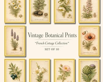 Juego de 10 impresiones botánicas vintage, arte de pared de estilo rústico francés, galería floral antigua, impresiones botánicas en beige neutro.