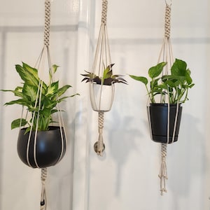 May include: Three macrame plant hangers with different plants in black and white pots. The hangers are suspended from a metal bar. The plants have green leaves. The pots are round and cylindrical.