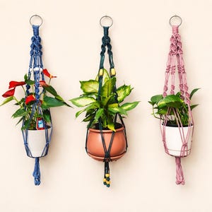 May include: Three macrame plant hangers in blue, green, and pink, each holding a potted plant. The blue hanger has red flowers, the green has a terracotta pot, and the pink has a white pot. All are suspended from metal rings.