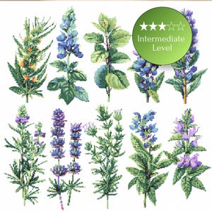 Puede incluir: Un patrón de punto de cruz que presenta diez ilustraciones botánicas distintas de varias hierbas y plantas con flores en tonos verdes, azules y morados. Una insignia circular verde en la esquina superior derecha muestra tres estrellas y el texto Intermediate Level.
