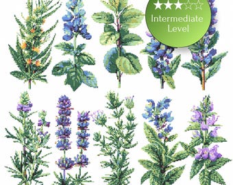 Herbal Cross Stitch Bundle – 10 Botanical Herb Patterns PDF