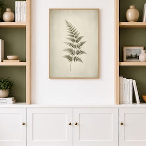 Może przedstawiać: Oprawiony botaniczny wydruk przedstawiający szczegółową ilustrację paproci. Grafika ma neutralną paletę kolorów, z beżowym tłem i brązową drewnianą ramą. Wydruk jest wyświetlany na białej ścianie nad białą szafką.