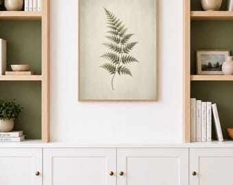 Fern Leaf Wall Art, Vintage Botanical Green, Organic Living Room Decor