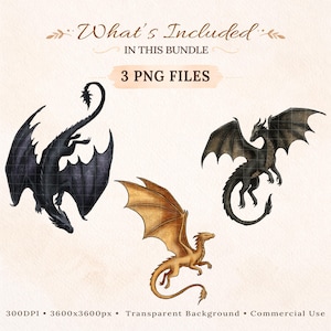 May include: A digital bundle containing three dragon illustrations. The text reads What's Included IN THIS BUNDLE 3 PNG FILES. One dragon is black with wings spread, another is dark grey, and the third is golden brown. 300DPI 3600x3600px.