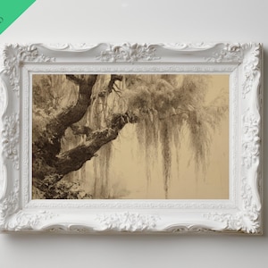 Vintage Styled Sketch of a Weeping Willow Tree,  Digital Printable Art Download