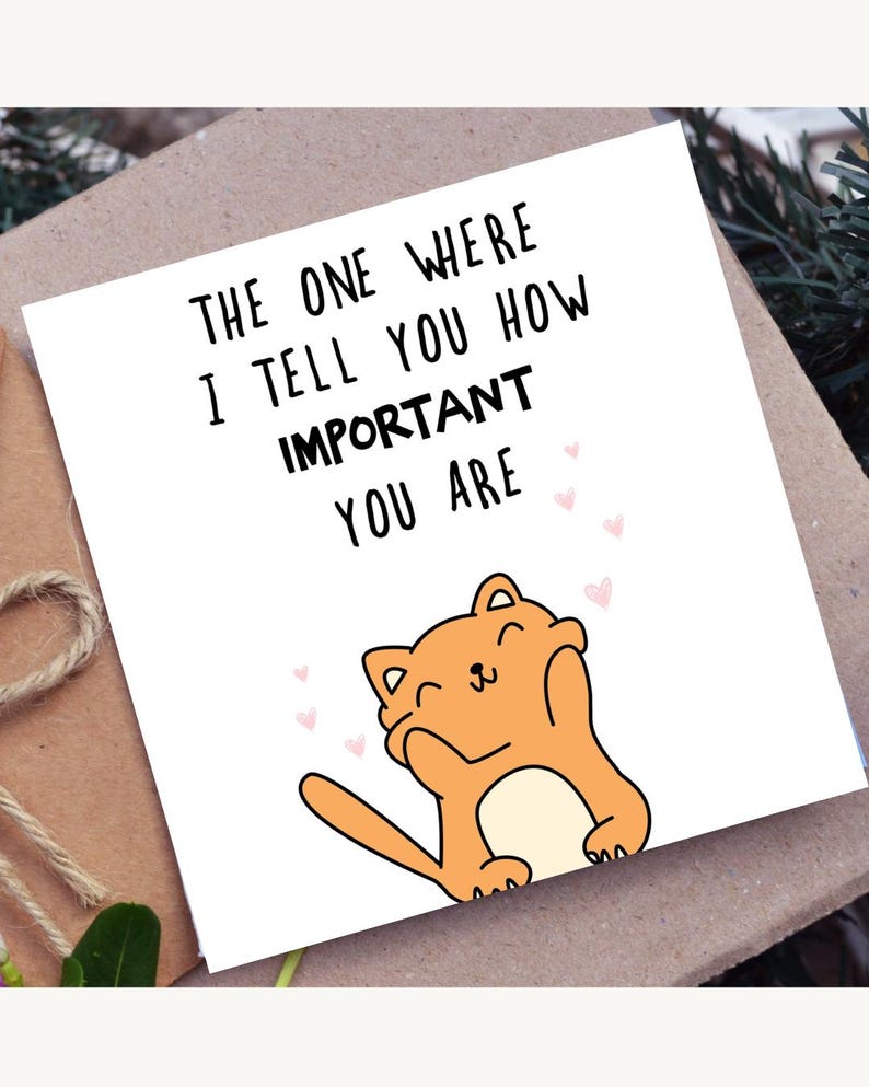 Op de afbeelding: Een wenskaart met de tekst "THE ONE WHERE I TELL YOU HOW IMPORTANT YOU ARE" en een oranje cartoonkat met roze hartjes. De kaart ligt op een bruin oppervlak.