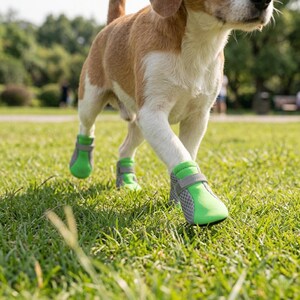 May include: A dog wearing green and gray mesh dog boots walks on green grass. The boots have a hook and loop closure for a secure fit. The dog is brown, white, and tan.
