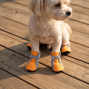 May include: A small, light-colored dog wearing orange and gray dog boots with a velcro strap. The boots have a mesh design and are on a wooden deck.