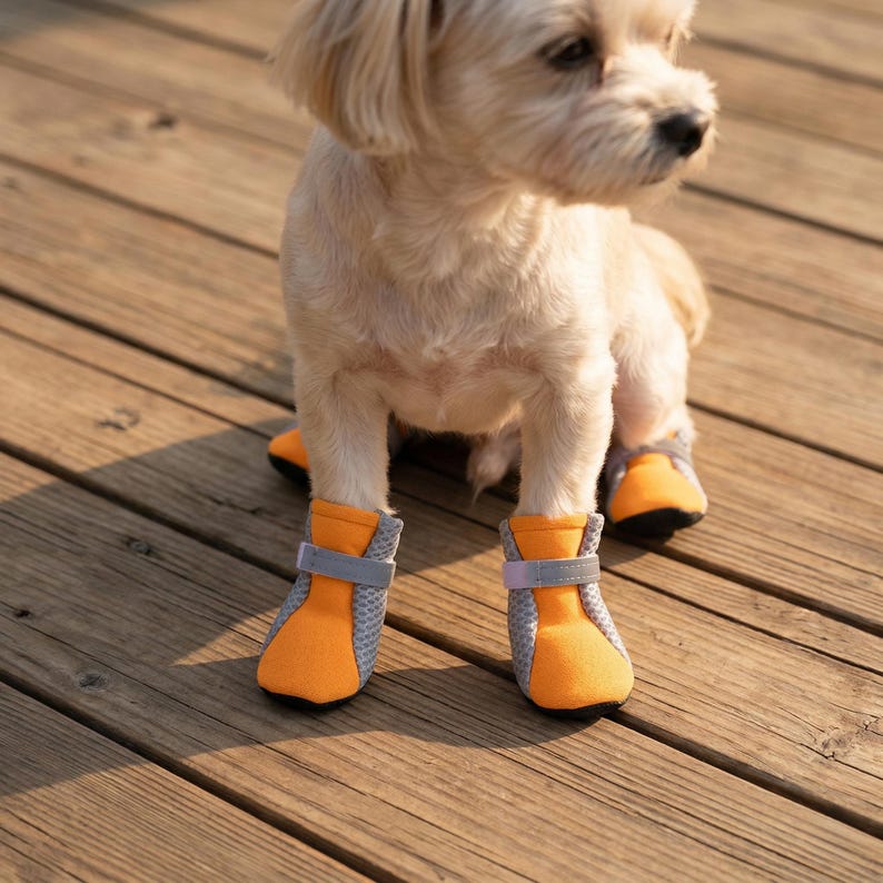 May include: A small, light-colored dog wearing orange and gray dog boots with a velcro strap. The boots have a mesh design and are on a wooden deck.