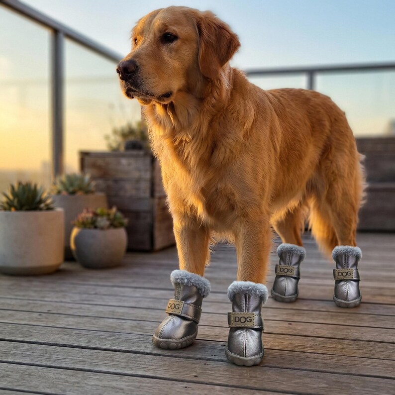 May include: A golden retriever dog wearing four silver dog boots with faux fur trim and a strap that says "DOG". The dog is standing on a wooden deck with potted plants in the background.