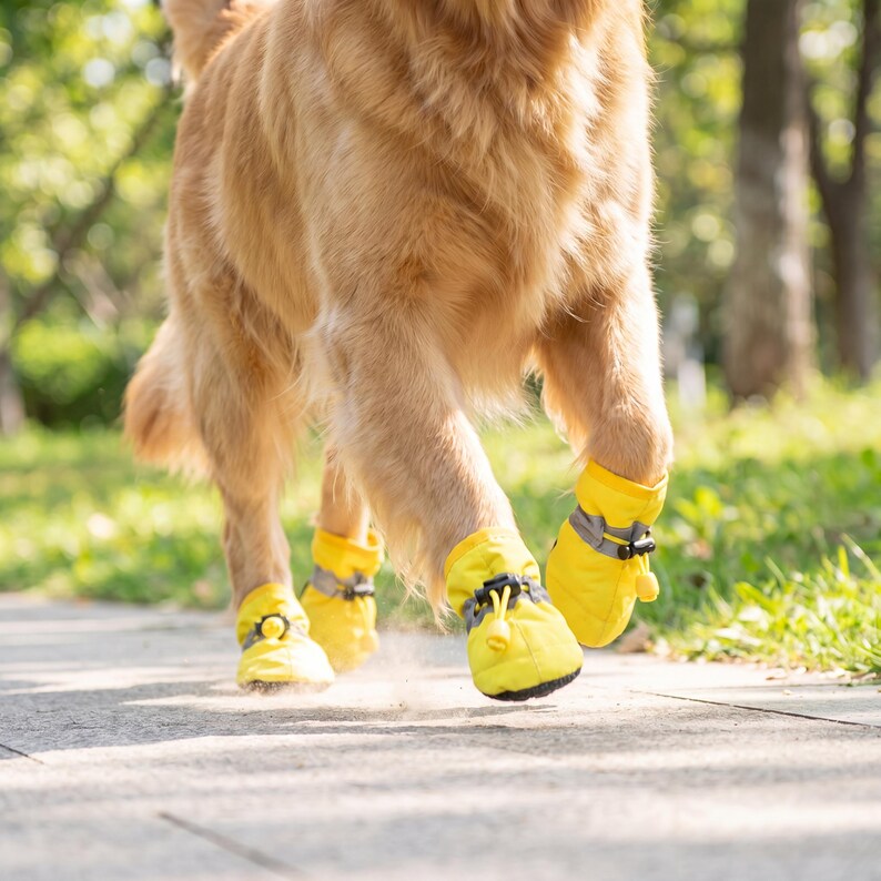 May include: A golden retriever dog wearing bright yellow dog boots with grey accents. The dog is running on a paved surface, with green grass and trees in the background. The boots have a drawstring closure.
