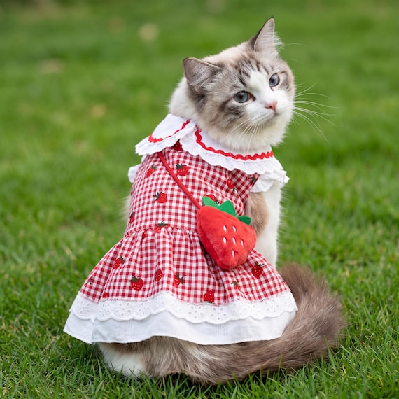 cat dress Strawberry Dress, Cotton Gingham Pet Outfit, Small Cats Kittens Accessory Size:Pre-order M The Genevieve 100% Cotton brunch-1409-1 Lolita Small Dogs