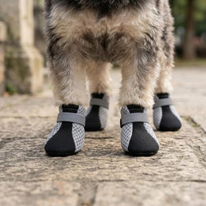 May include: Dog boots in a close-up shot. The boots are black and gray with a mesh design and a velcro strap. The dog's legs are visible, with light-colored fur. The boots are on a stone surface.