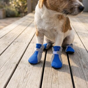 May include: A small dog wearing four blue and gray mesh dog boots. The boots have a hook and loop strap closure and are designed to protect the dog's paws. The dog is sitting on a wooden deck.